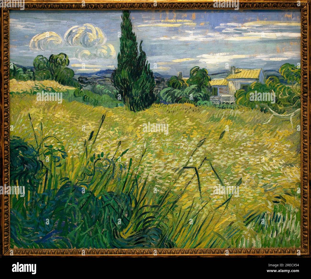 Mais vert - Peinture de Vincent Van Gogh (1853-1890), huile sur toile, 1889 - art francais, 19e siecle - Palais Veletrzni (palais des foires), Prague (Republique Tcheque) Stock Photo