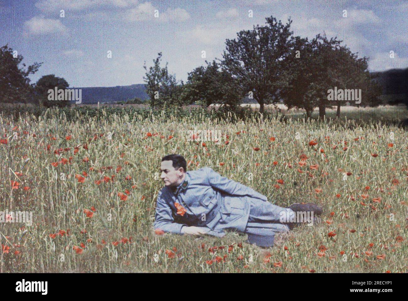 Soldat de 2eme classe dans un champs de ble et de coquelicots pendant la Premiere Guerre Mondiale, de 1914 a 1918. Autochrome, Paris, 1915. Stock Photo