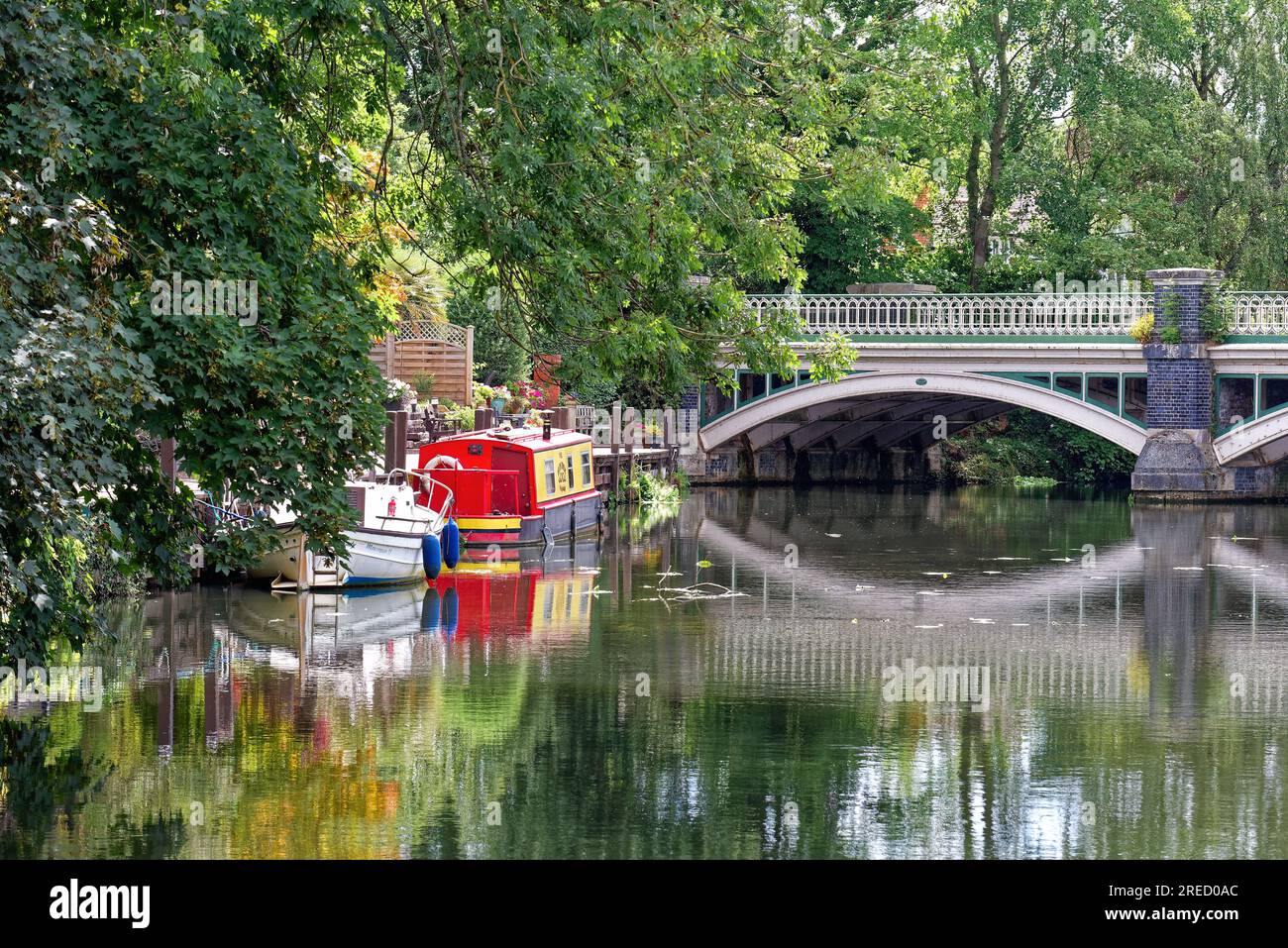 A quiet backwater on the River Wey Navigation canal at Weybridge on a summers day Surrey England UK Stock Photo