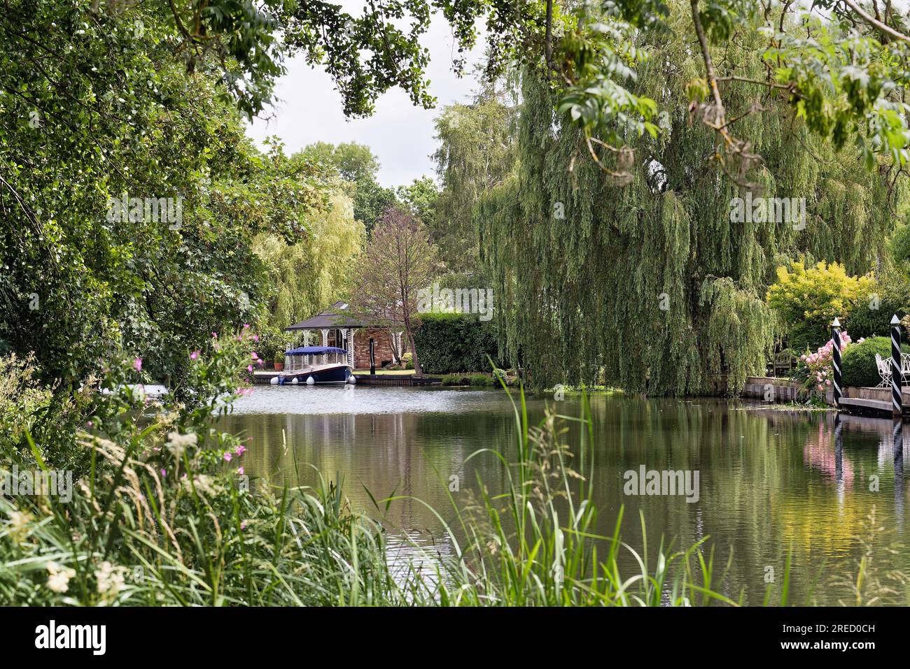 A quiet backwater on the River Wey Navigation canal at Weybridge on a summers day Surrey England UK Stock Photo