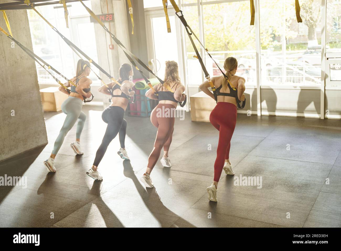Back view of women do resistance exercise TRX for training slim body pull.  Healthy lifestyle concept Stock Photo - Alamy