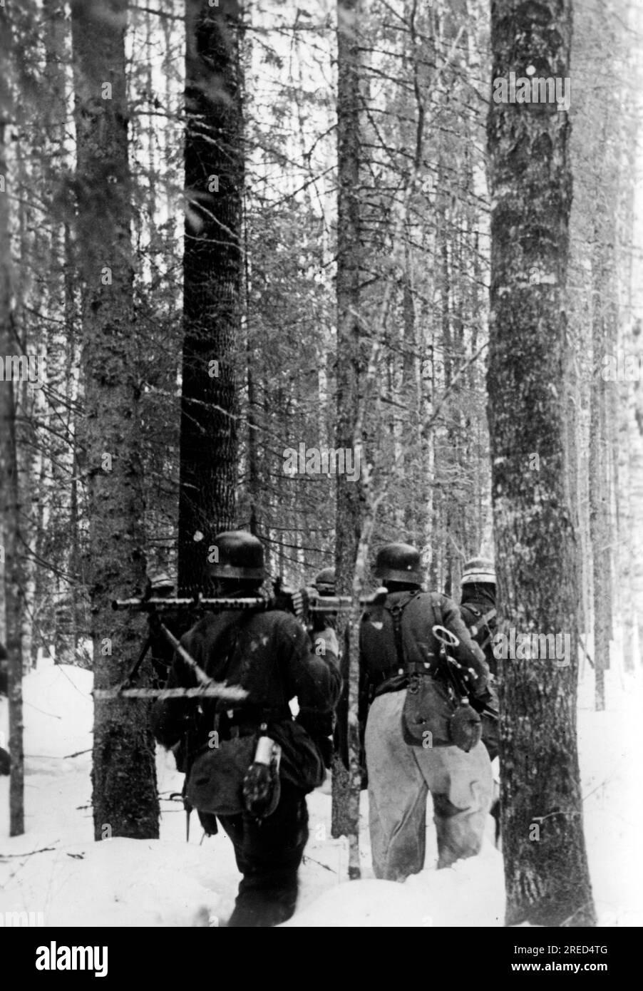German soldiers are attacking Russian positions in a forest near Gluschitzka. Photo: Rutkowski. [automated translation] Stock Photo