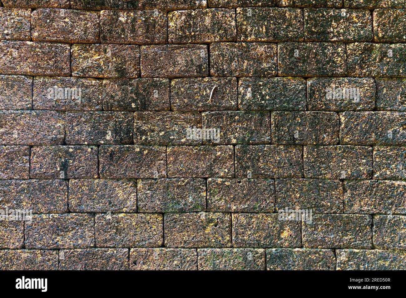 Old brick wall. Bric Grunge background. Rustic style Stock Photo