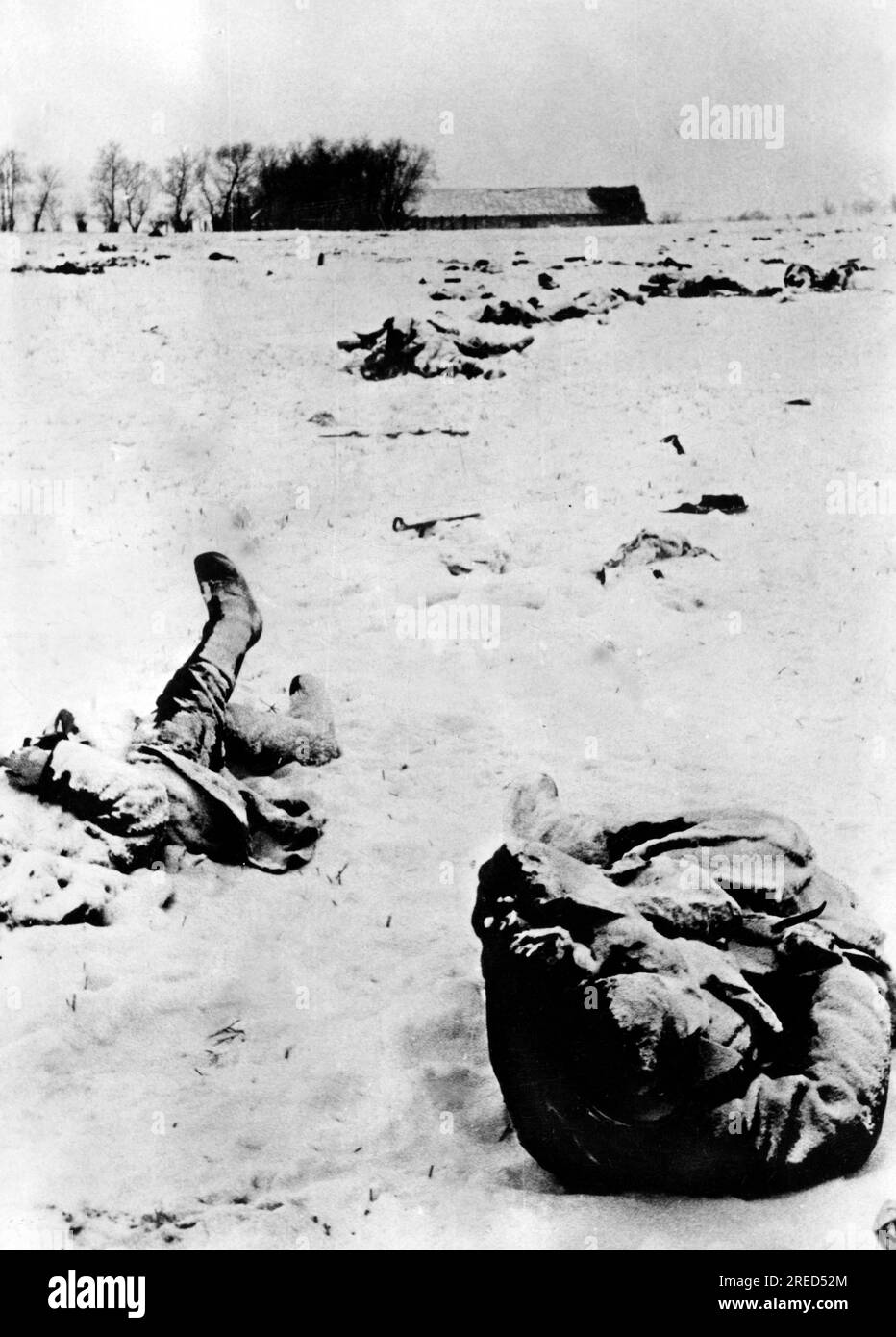 Dead Russian soldiers in front of a German position, probably in the middle section of the Eastern Front. Photo: Kraayvanger. [automated translation] Stock Photo