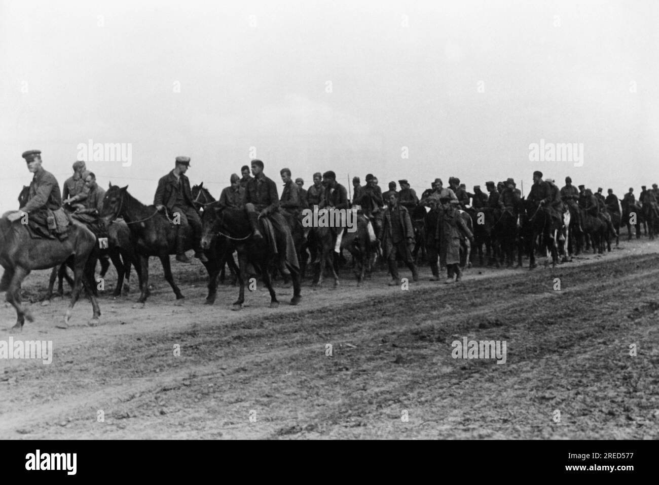 Russian prisoners during the Battle of Uman in Ukraine. Photo: Bet [automated translation] Stock Photo