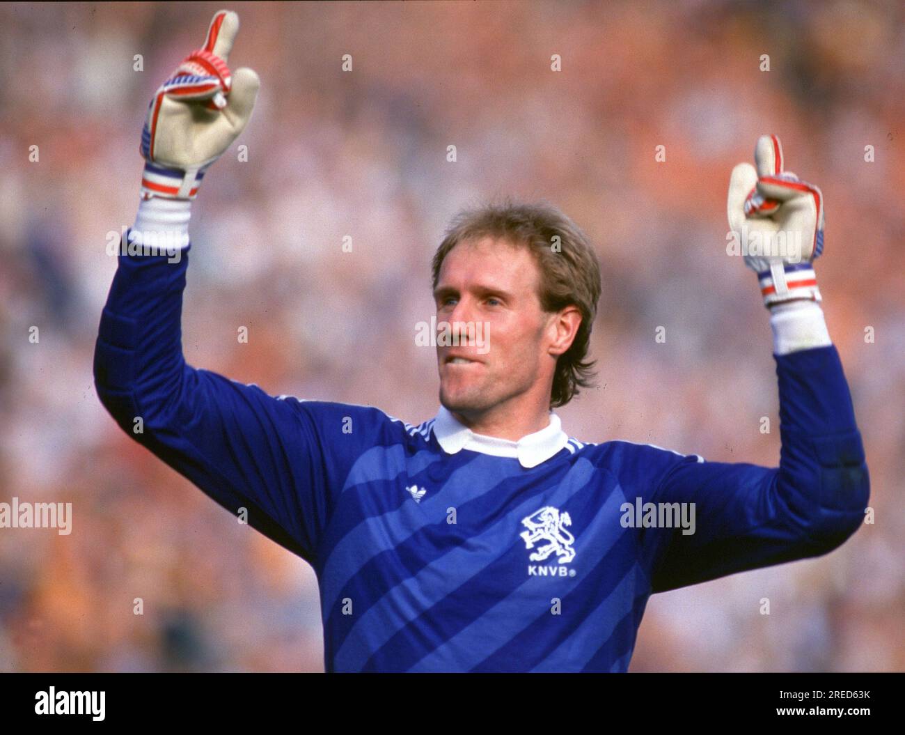 Soccer EM 1988 in Germany / England - Netherlands 1:3 /15.06.1988 in Düsseldorf / goalkeeper Hans van Breukelen (NL) is happy , cheers [automated translation] Stock Photo