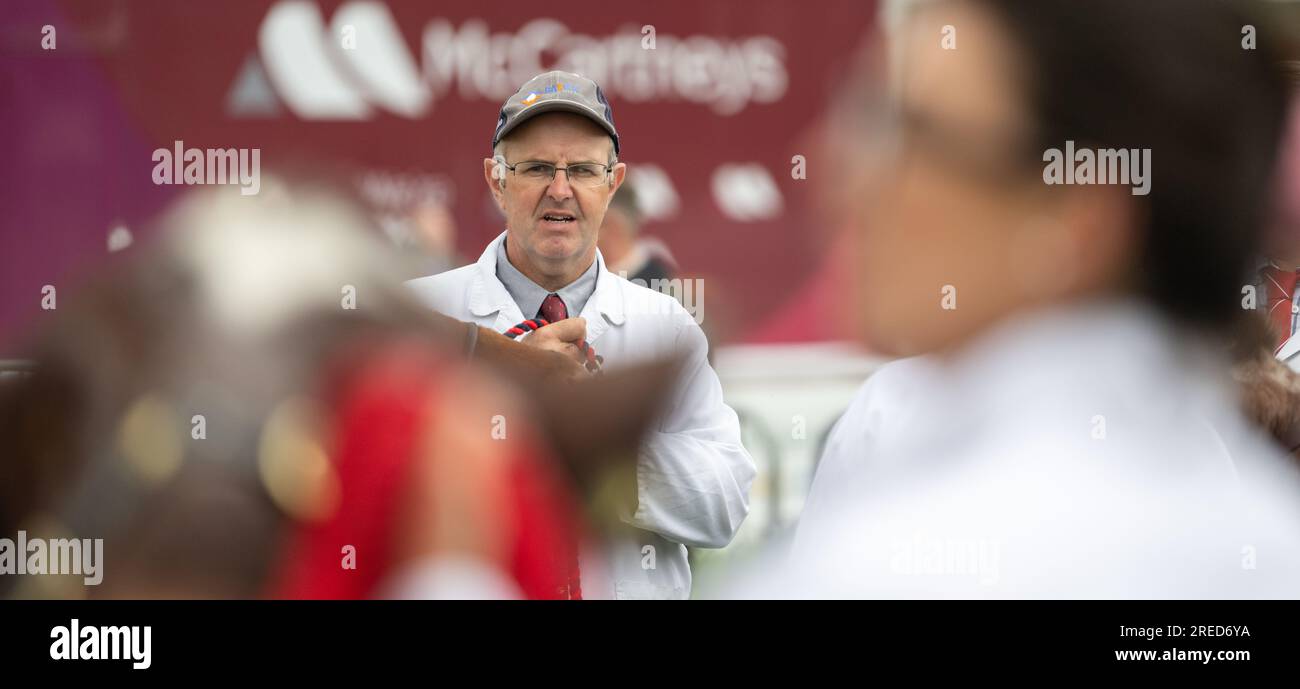 Showing cattle at the Royal Welsh show held annually at Builth Wells, Wales, UK. Stock Photo