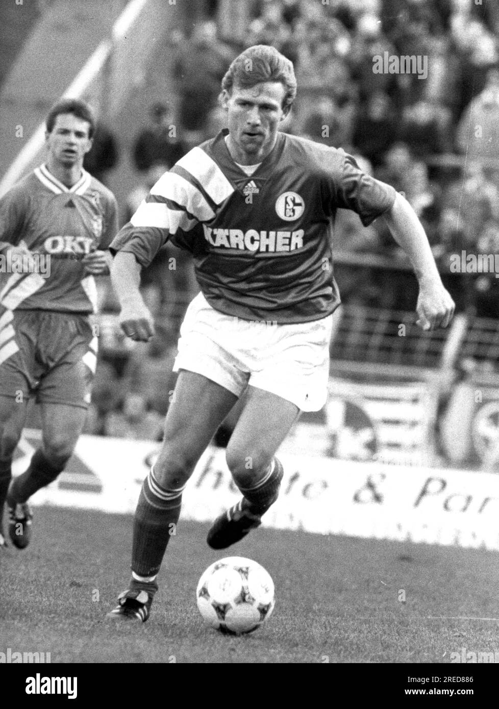 stellenanzeige schalke 04