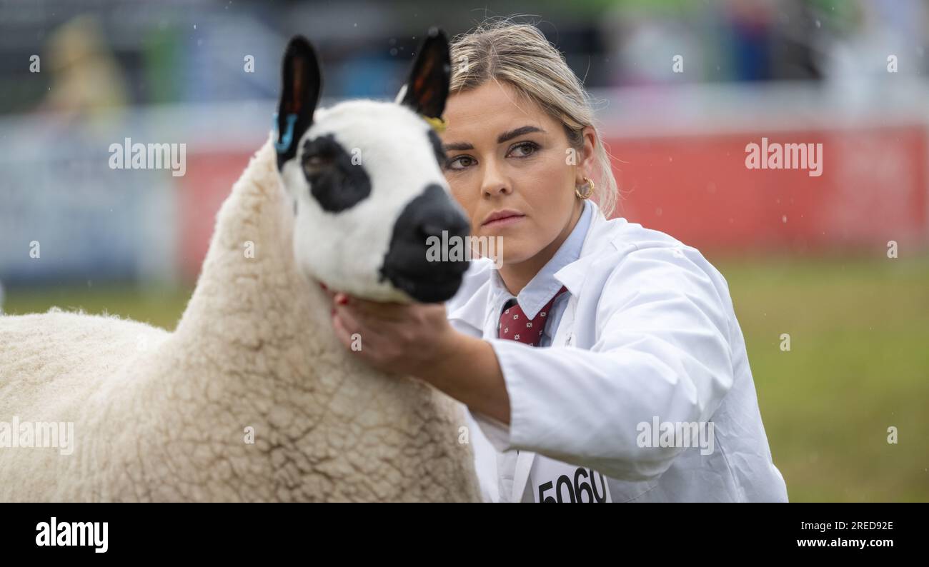 Farmers showing their sheep in the rain at the Royal Welsh Show 2023. Stock Photo