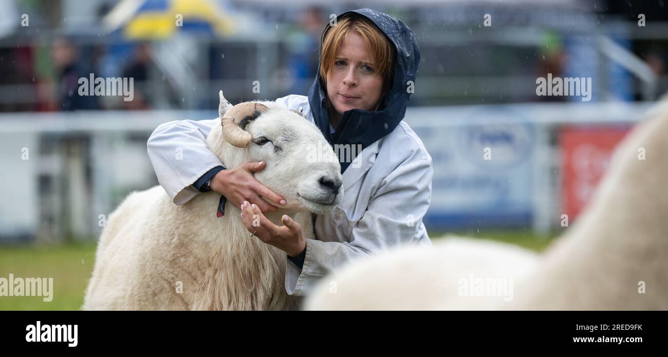 Farmers showing their sheep in the rain at the Royal Welsh Show 2023. Stock Photo