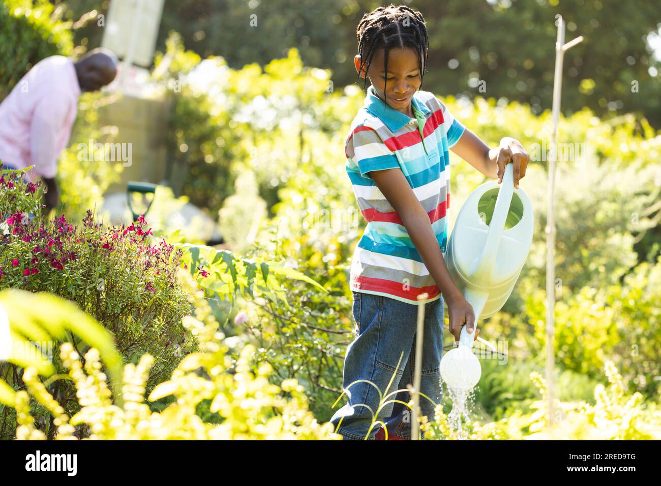 Happy african american grandfather and grandson watering plants in ...