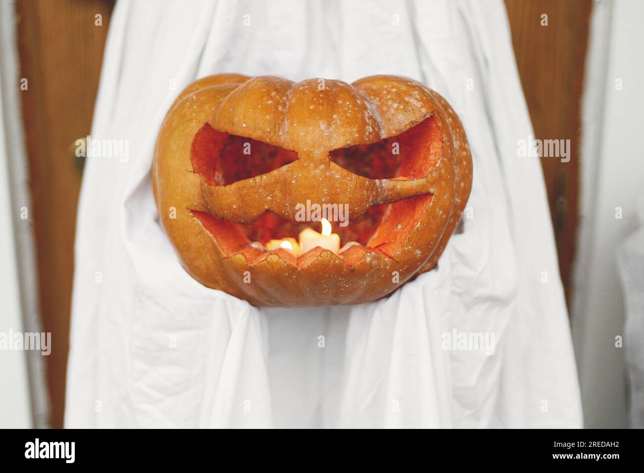 Spider Web Jack O Lantern