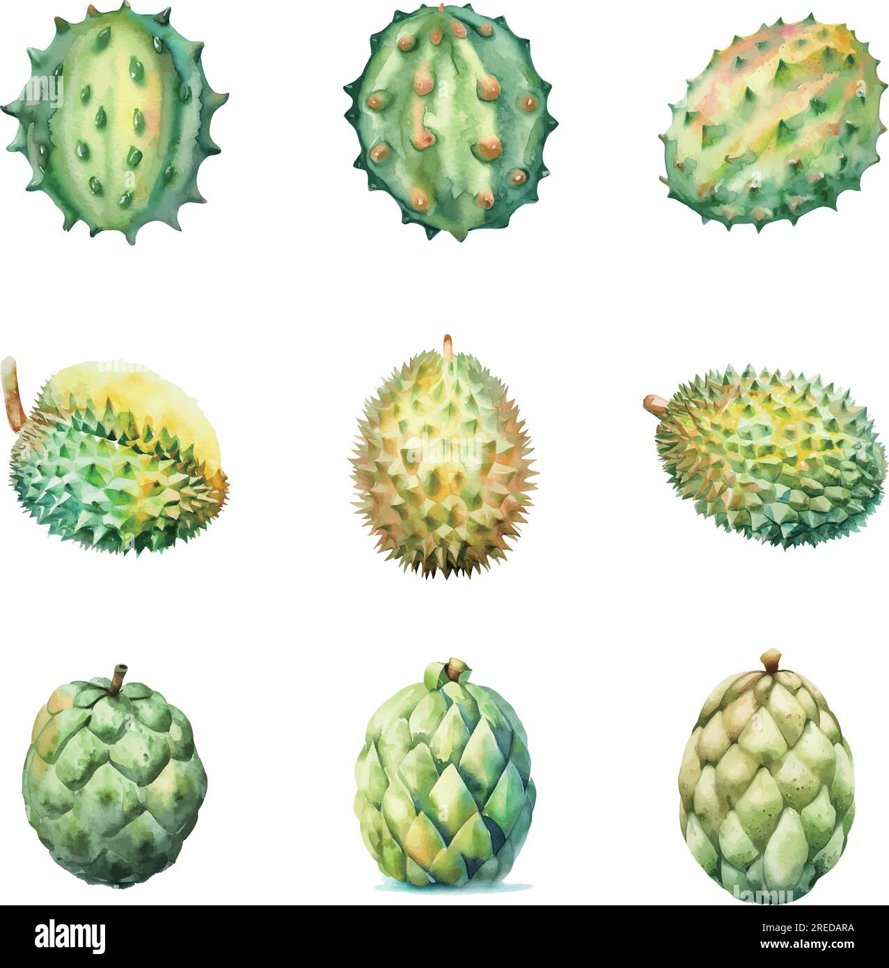 Silhouette Durian Vector Images (99)