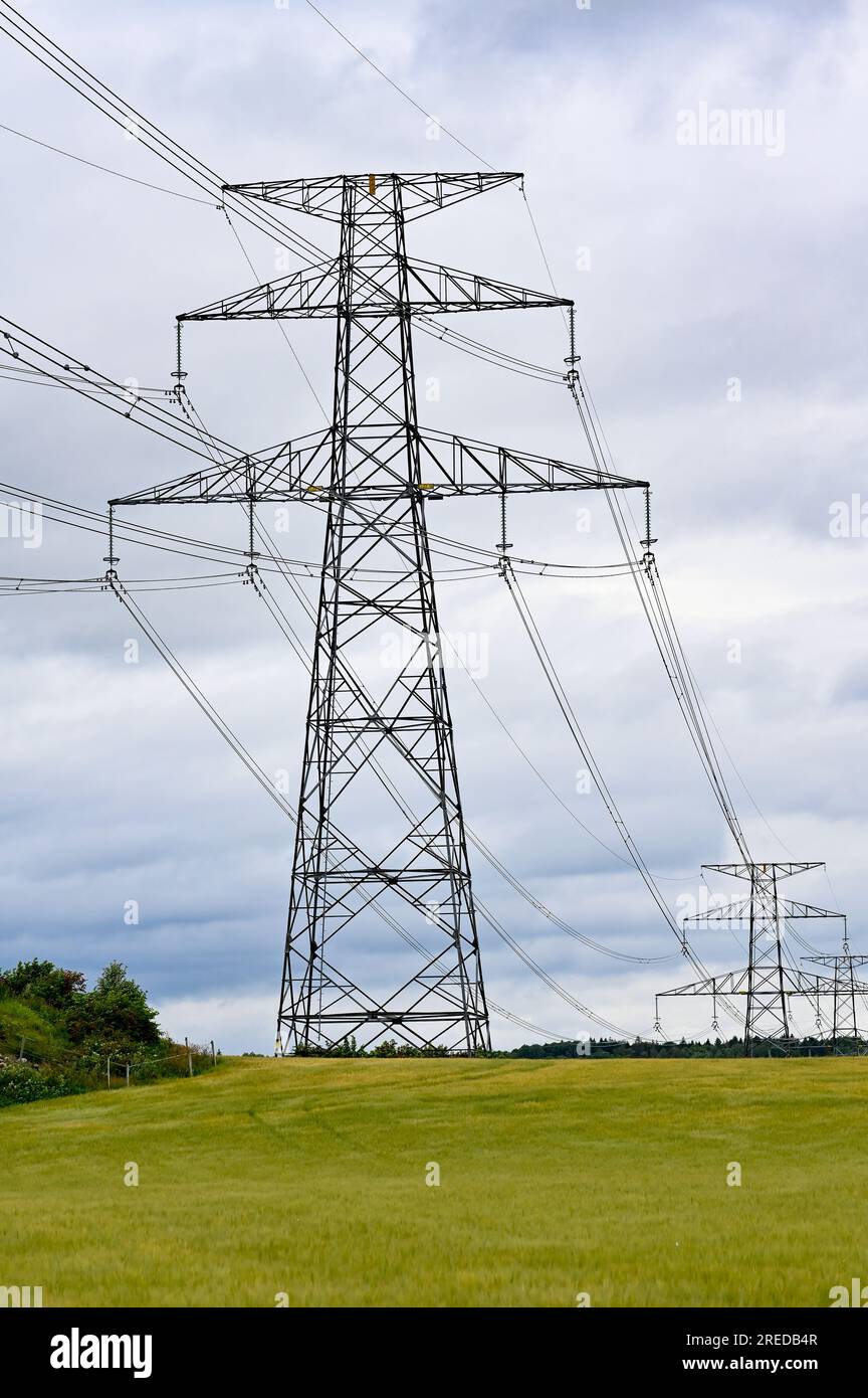 Power lines over fields a cloudy summers day Stock Photo - Alamy