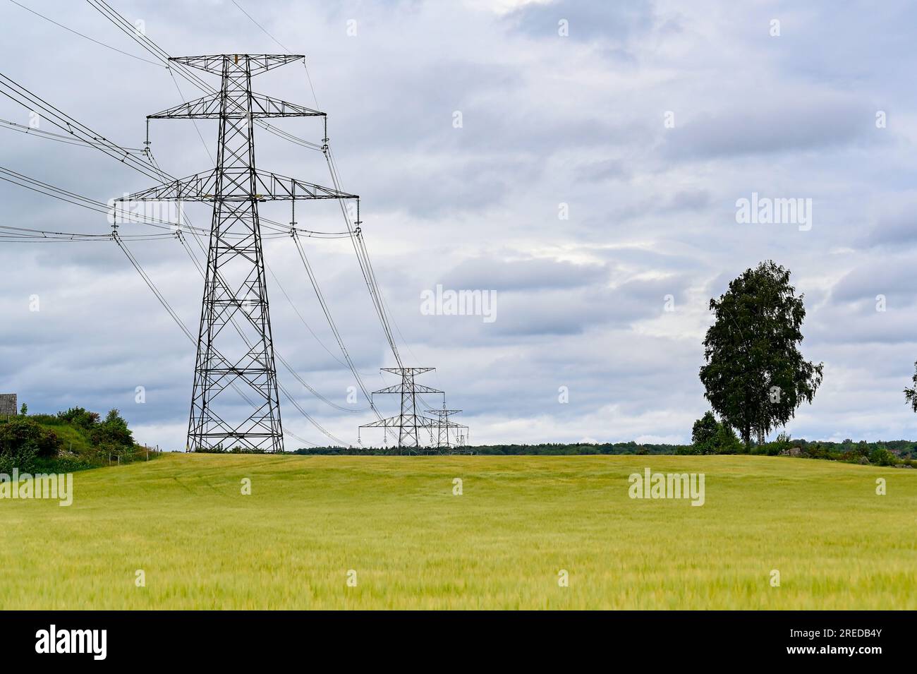Power lines over fields a cloudy summers day Stock Photo - Alamy