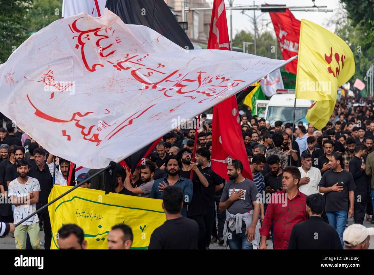 Shia Muslims take part in a procession on the 8th day of Muharram