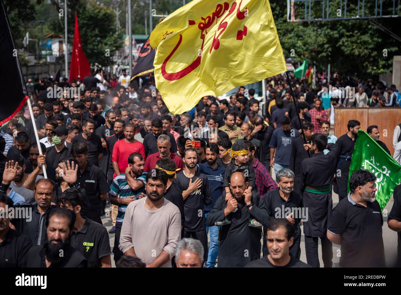 Shia Muslims take part in a procession on the 8th day of Muharram