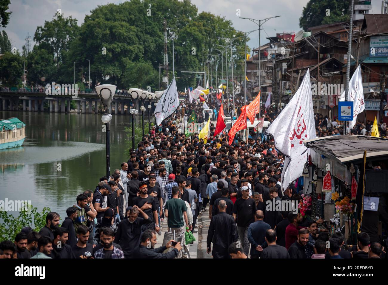 Shia Muslims take part in a procession on the 8th day of Muharram