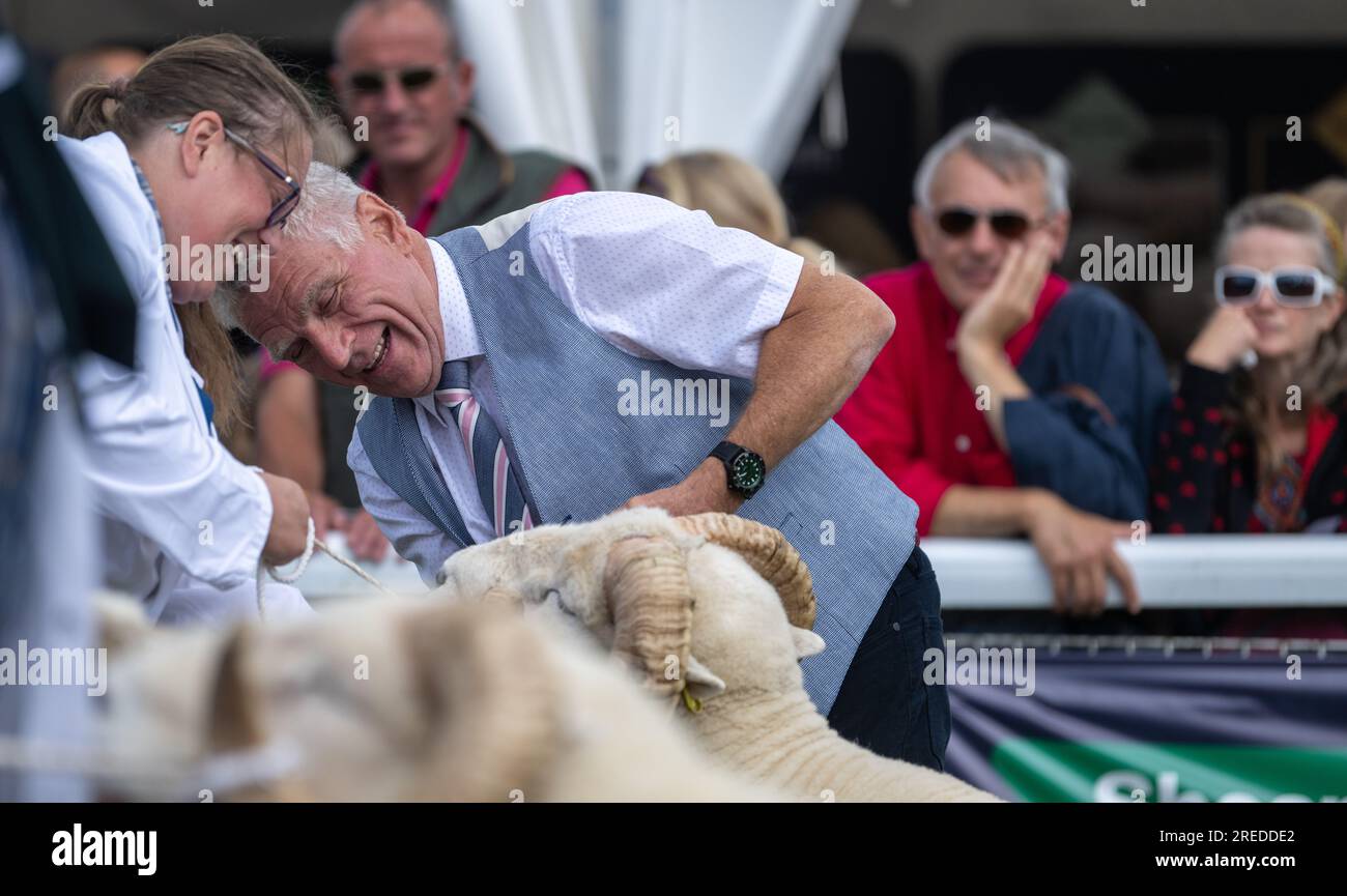 Showing sheep at the Royal Welsh Show in Bulith Wells, 2023. Stock Photo