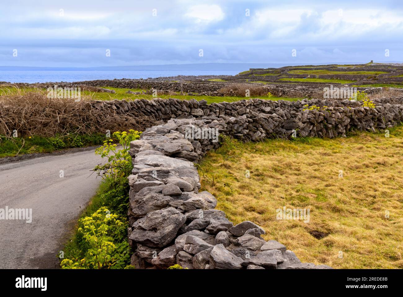 Dry stone walls dominate the landscape on Inisheer, the smallest and