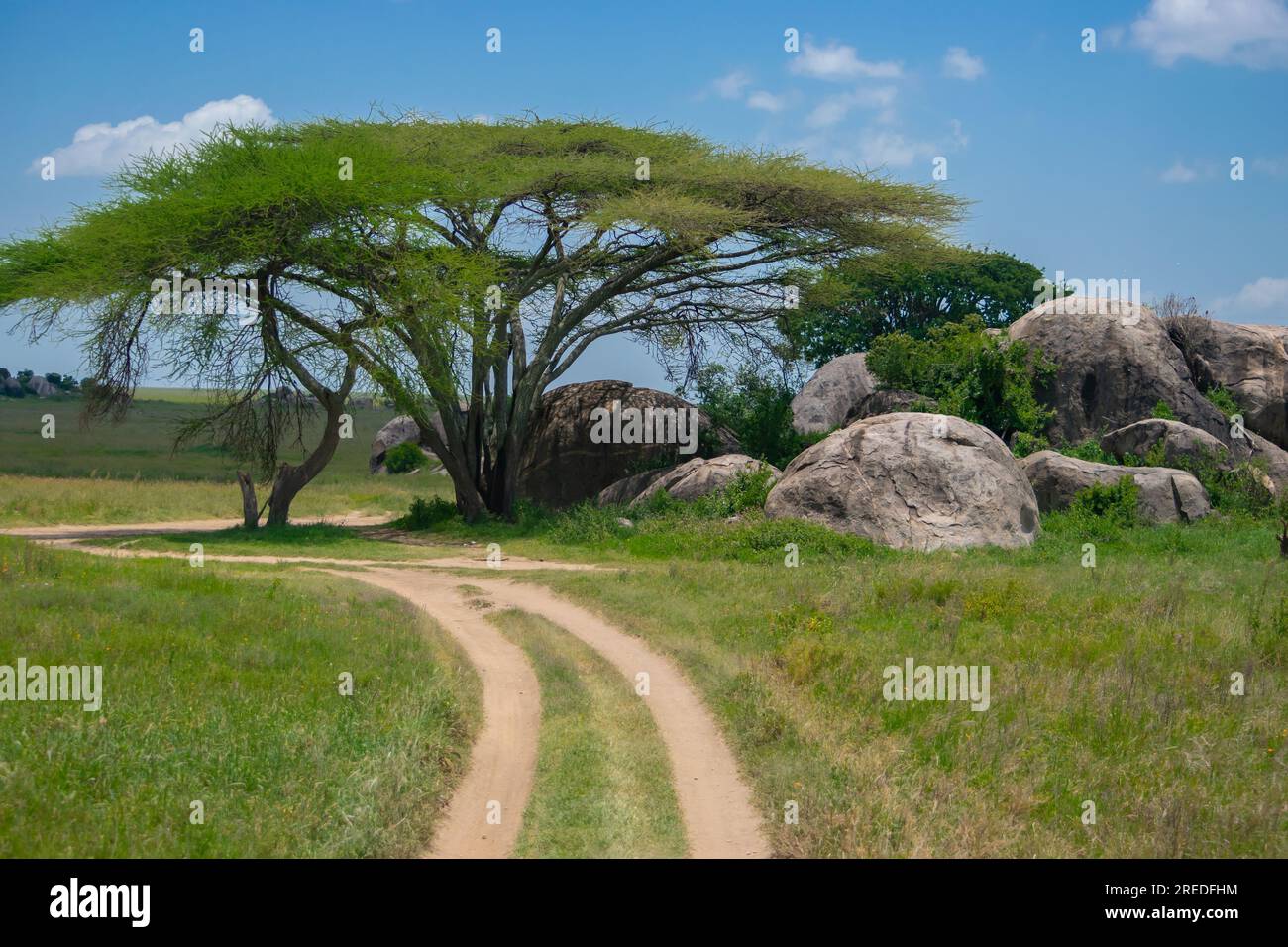 Route of African Safari Stock Photo