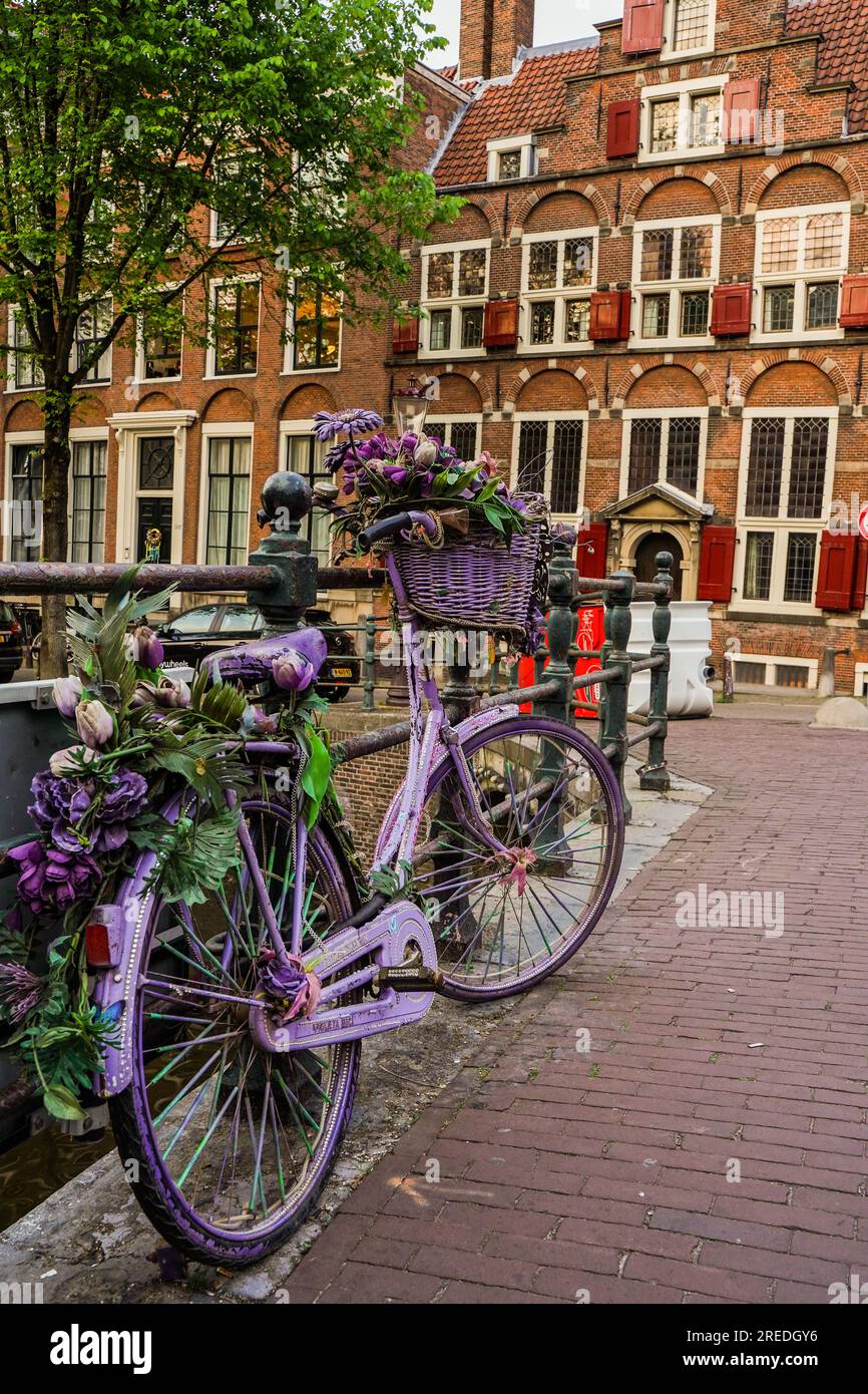 Amsterdam, 2022. Famous bikes made it for @flowerbikeman. Sony Alpha 7iii, 34mm, f/10, 1/25 Stock Photo