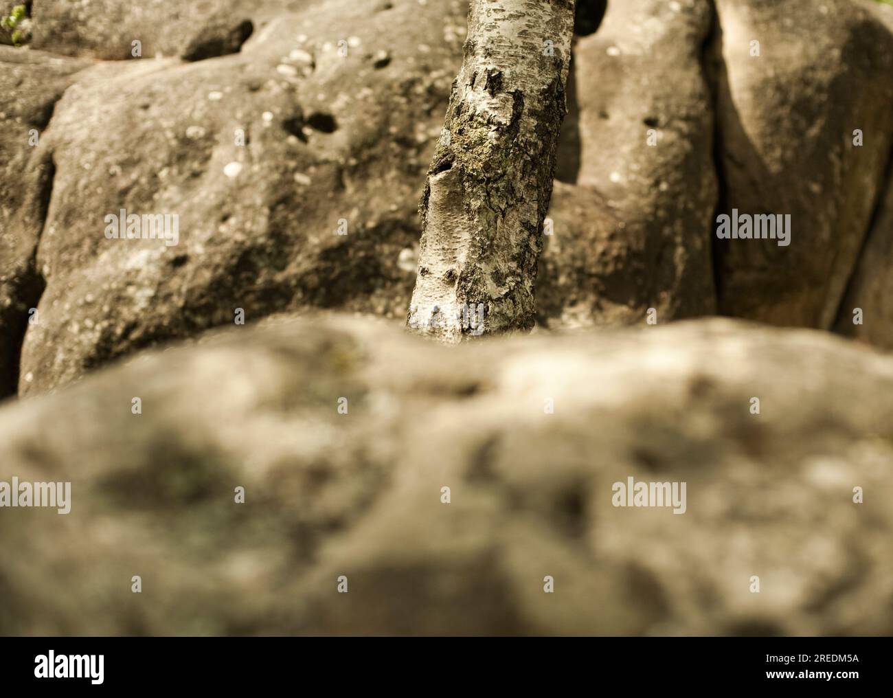 Rock rocks boulder boulders hi-res stock photography and images - Alamy