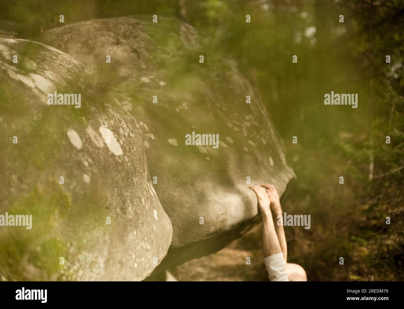 A climber in the distance at the climbing boulders rocks and trees