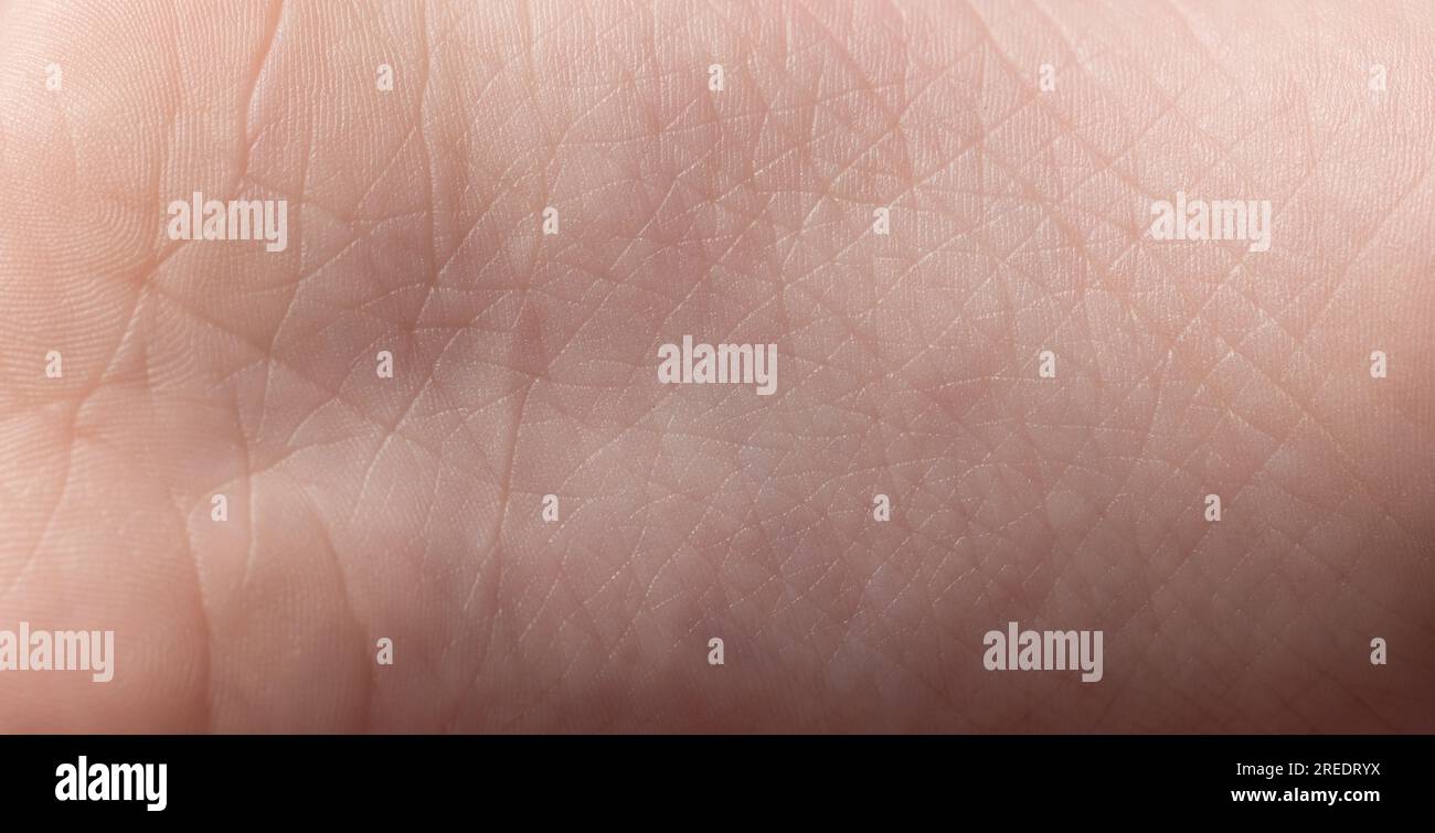 Pattern of line on baby skin surface macro close up view Stock Photo ...