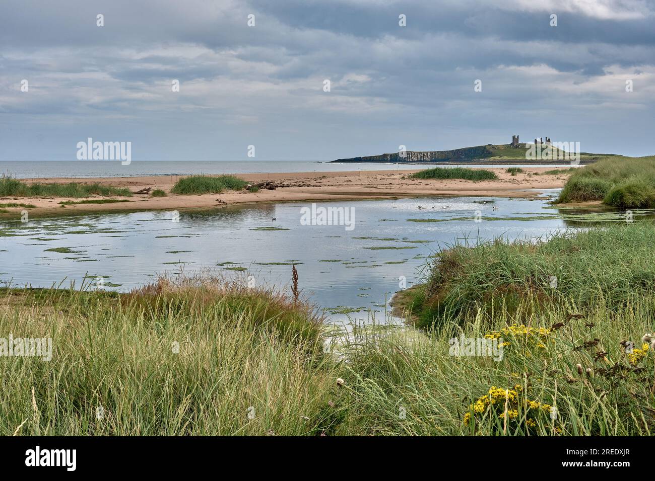 Embleton burn forms a species rich pool in the sand dunes of Embleton ...