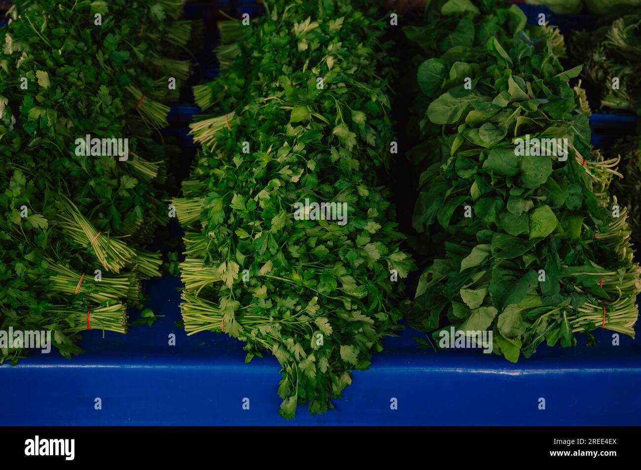Fresh greenery sale in the traditional farm Turkish market, a counter