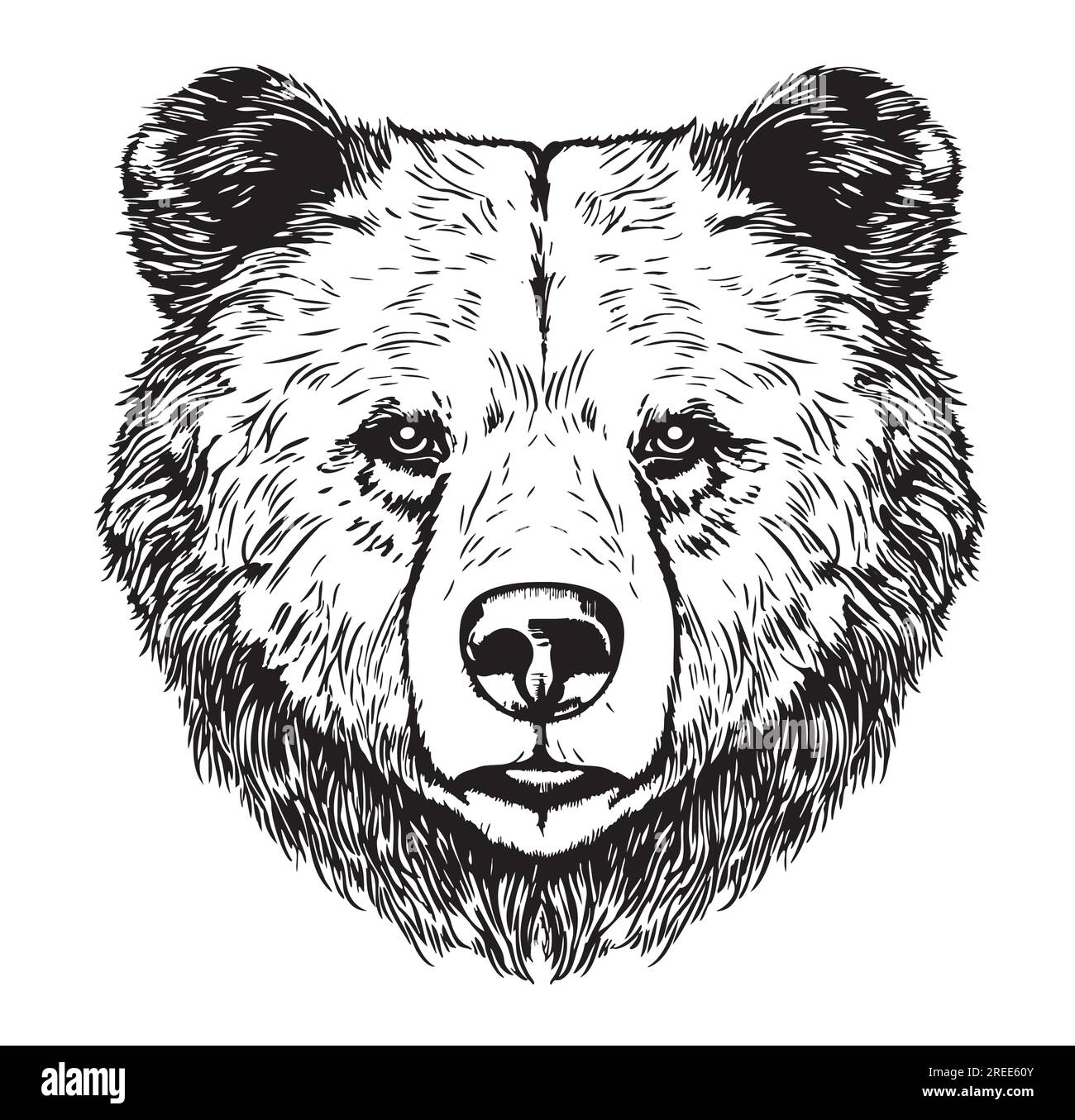 Cute animal bear face hand drawn sketch in doodle style illustration