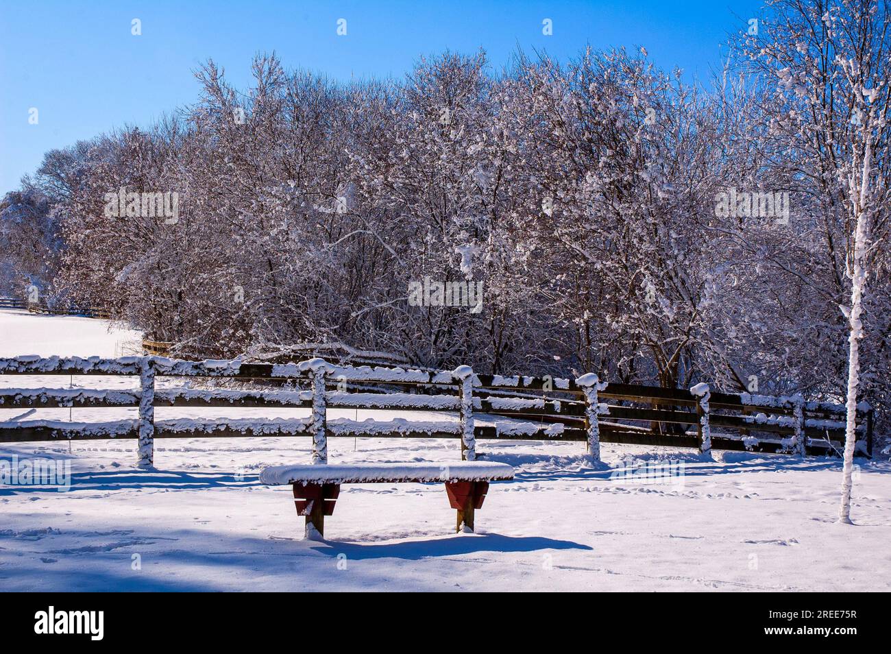 Winter in New England is ways pretty Stock Photo - Alamy