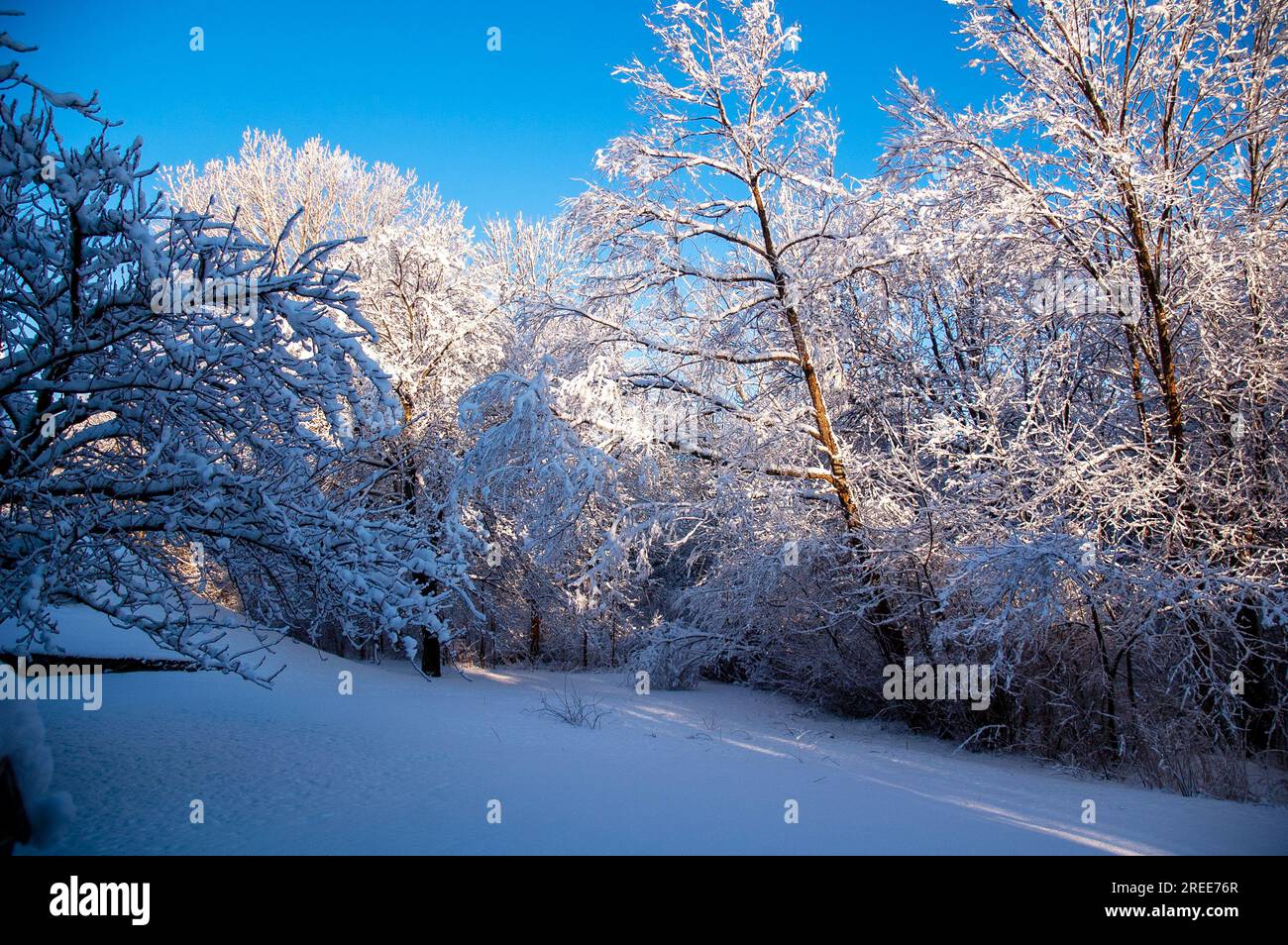 Winter in New England is ways pretty Stock Photo - Alamy