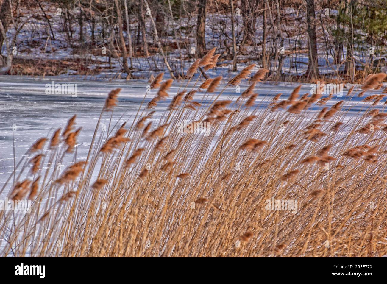 Winter in New England is ways pretty Stock Photo - Alamy