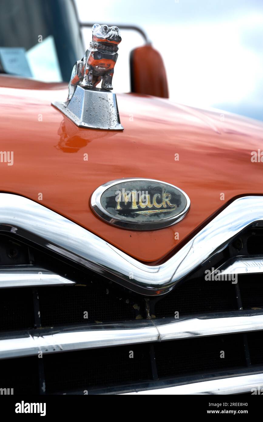 The hood and chrome bulldog hood ornament on a 2004 Mack semi truck on display at a car show in Abingdon, Virginia. Stock Photo