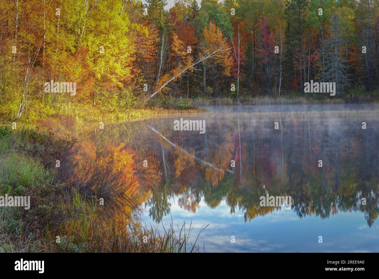 Cheqamegon national forest hires stock photography and images Alamy