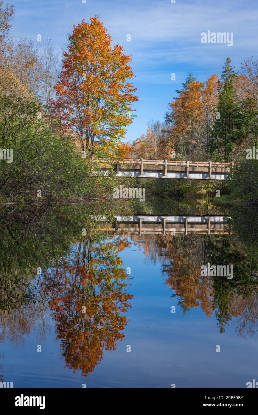 Cheqamegon national forest hires stock photography and images Alamy