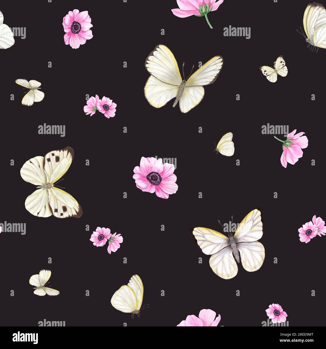 Flying White Butterflies Among Pink Anemone Flowers Isolated On White  Background Cabbage Butterflies Watercolor Seamless Pattern For Prints  Fabric Textile Scrapbooking Wrapping Stock Illustration - Download Image  Now - iStock