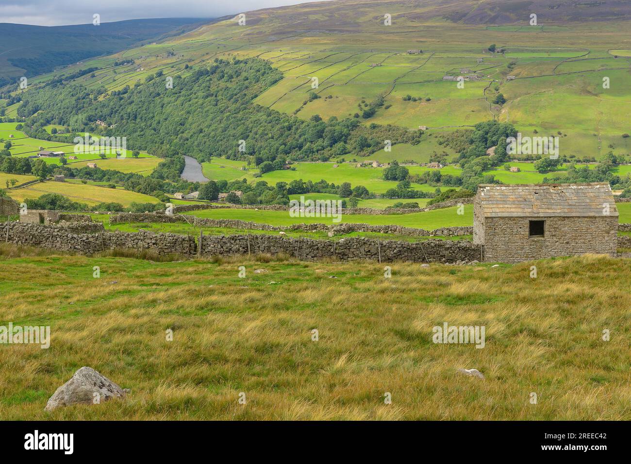 The beautiful, rural Yorkshire Dales in Summer time as seen from the High Road, Gunnerside in Swaledale, with stone barns, the River Swale, pastures a Stock Photo