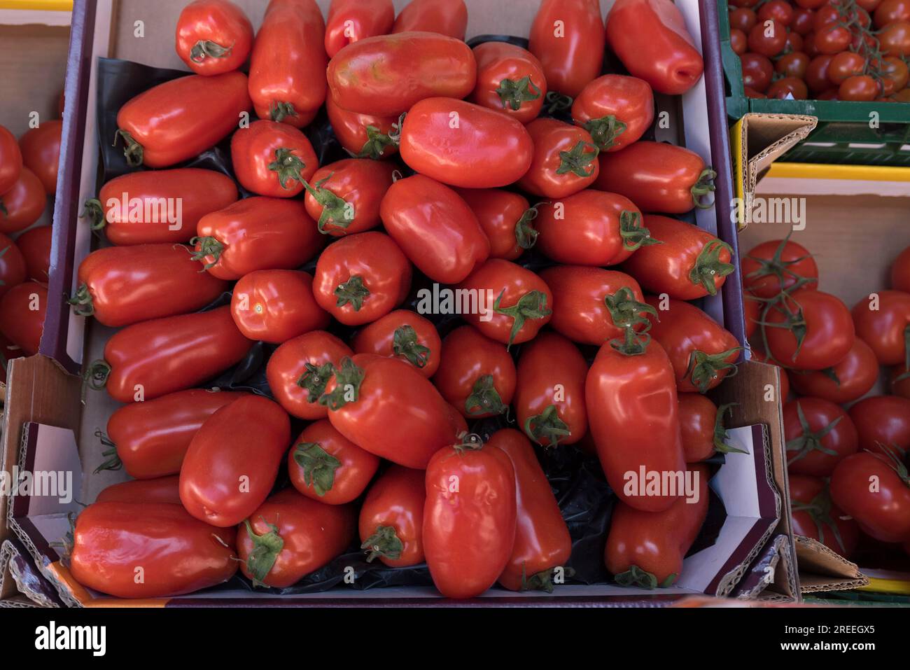 Tomatoes on a market stall, Baden-Wuerttemberg, Germany Stock Photo