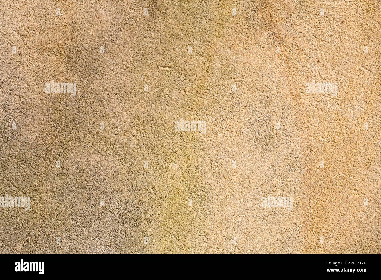 Old grungy plastered wall for backgrounds Stock Photo
