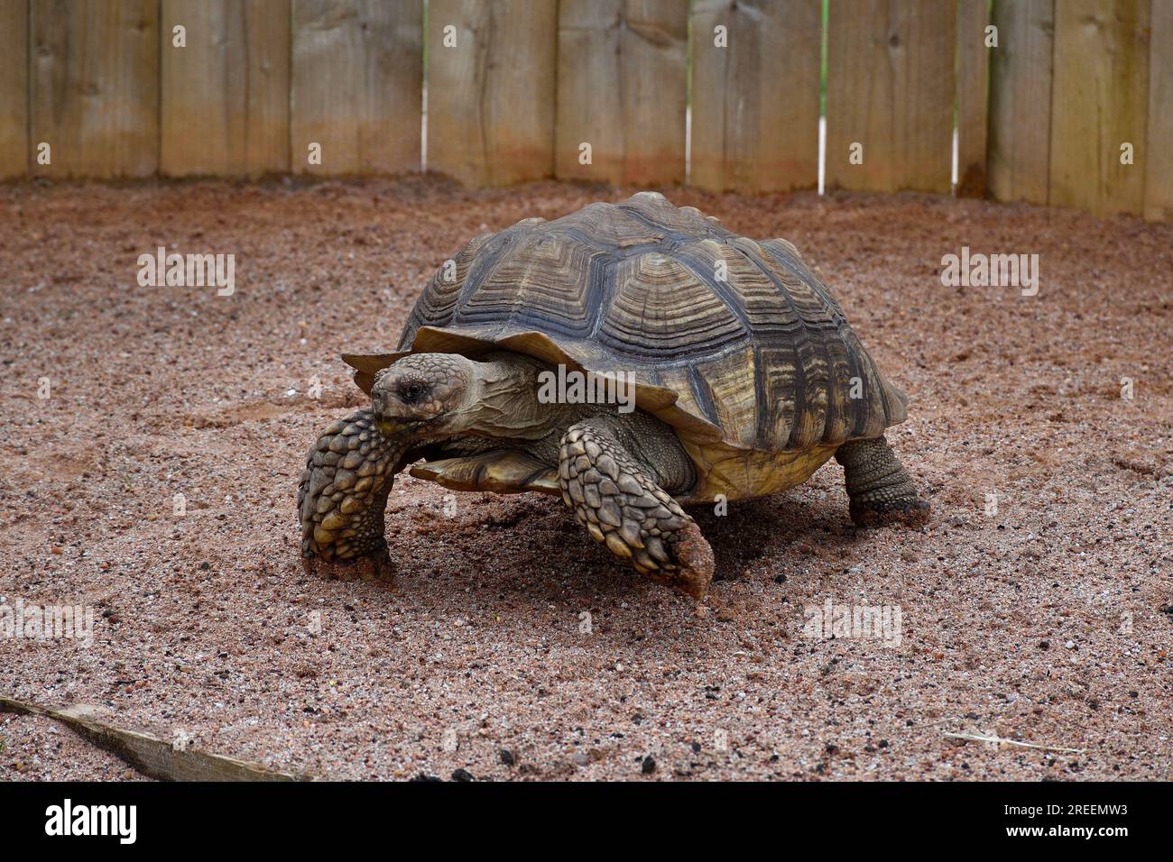 Crealy Theme Park & Resort Stock Photo Alamy