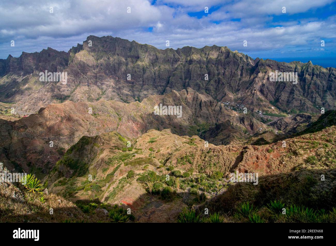 The vegetation of africa hi-res stock photography and images - Alamy