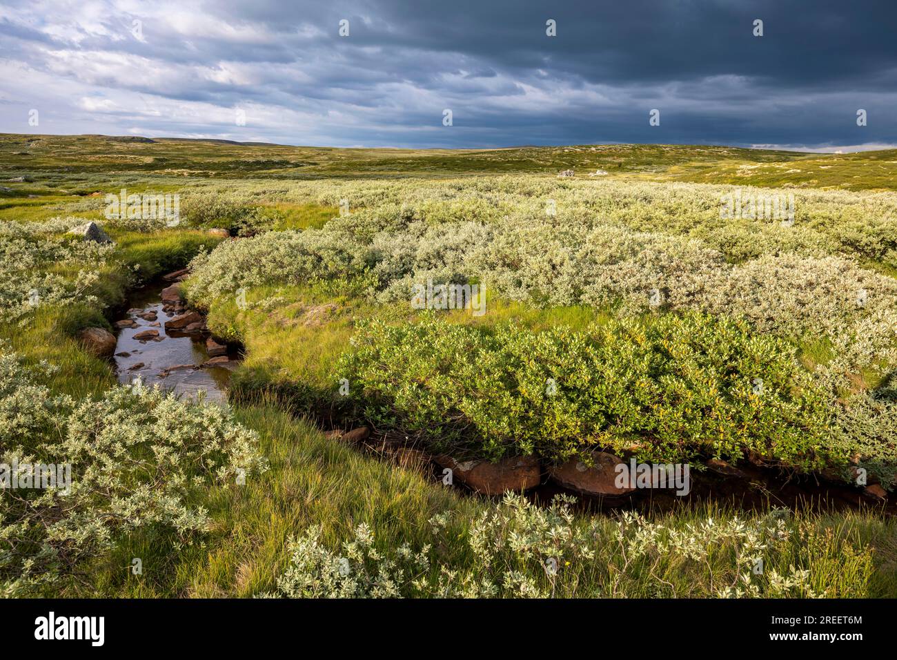 Landscape of the Hardangervidda plateau, Norway Stock Photo
