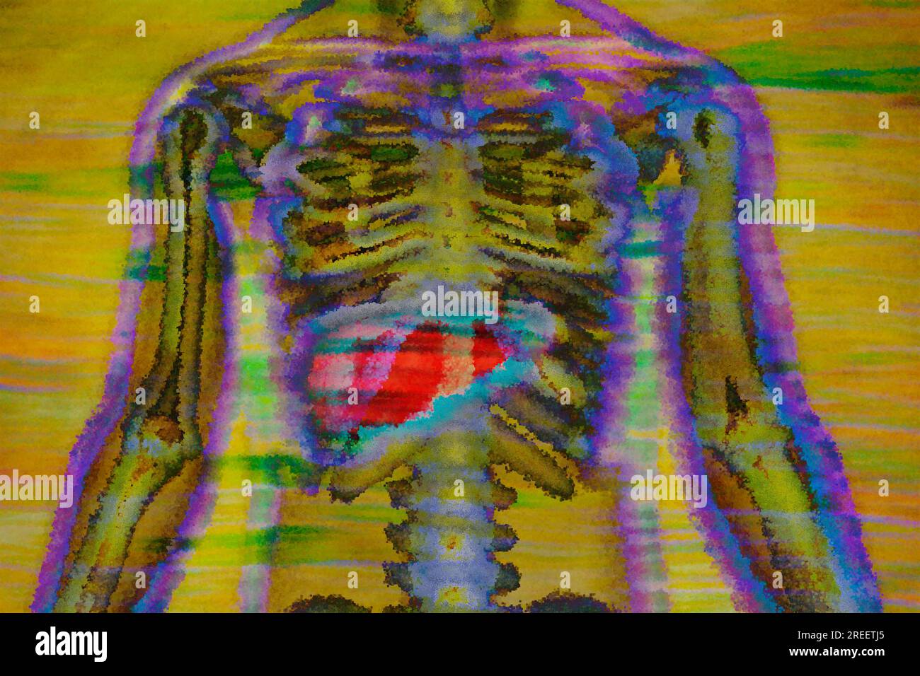 The organ liver serves for metabolism and produces bile Stock Photo Alamy