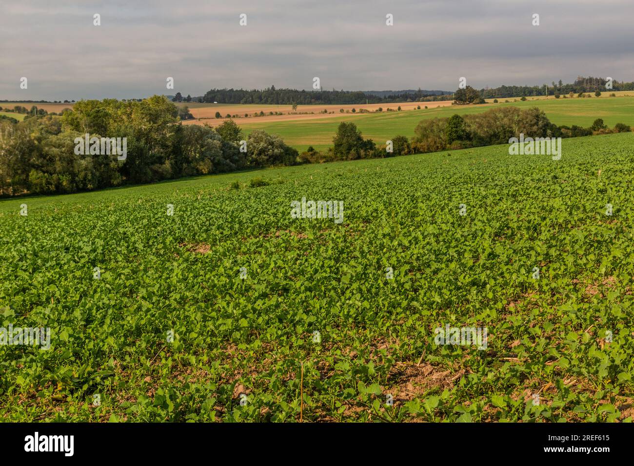 Landscape of the Czech Republic Stock Photo - Alamy