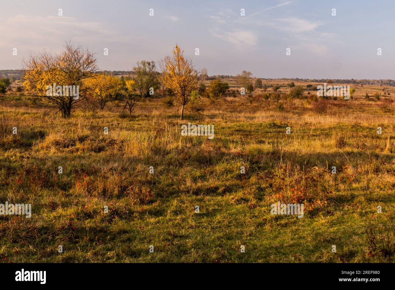 Landscape of Milovice Nature Reserve, Czech Republic Stock Photo