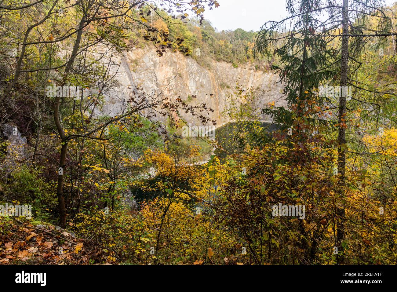 Mala Amerika quarry in Cesky kras landscape park, Czech Republic Stock Photo