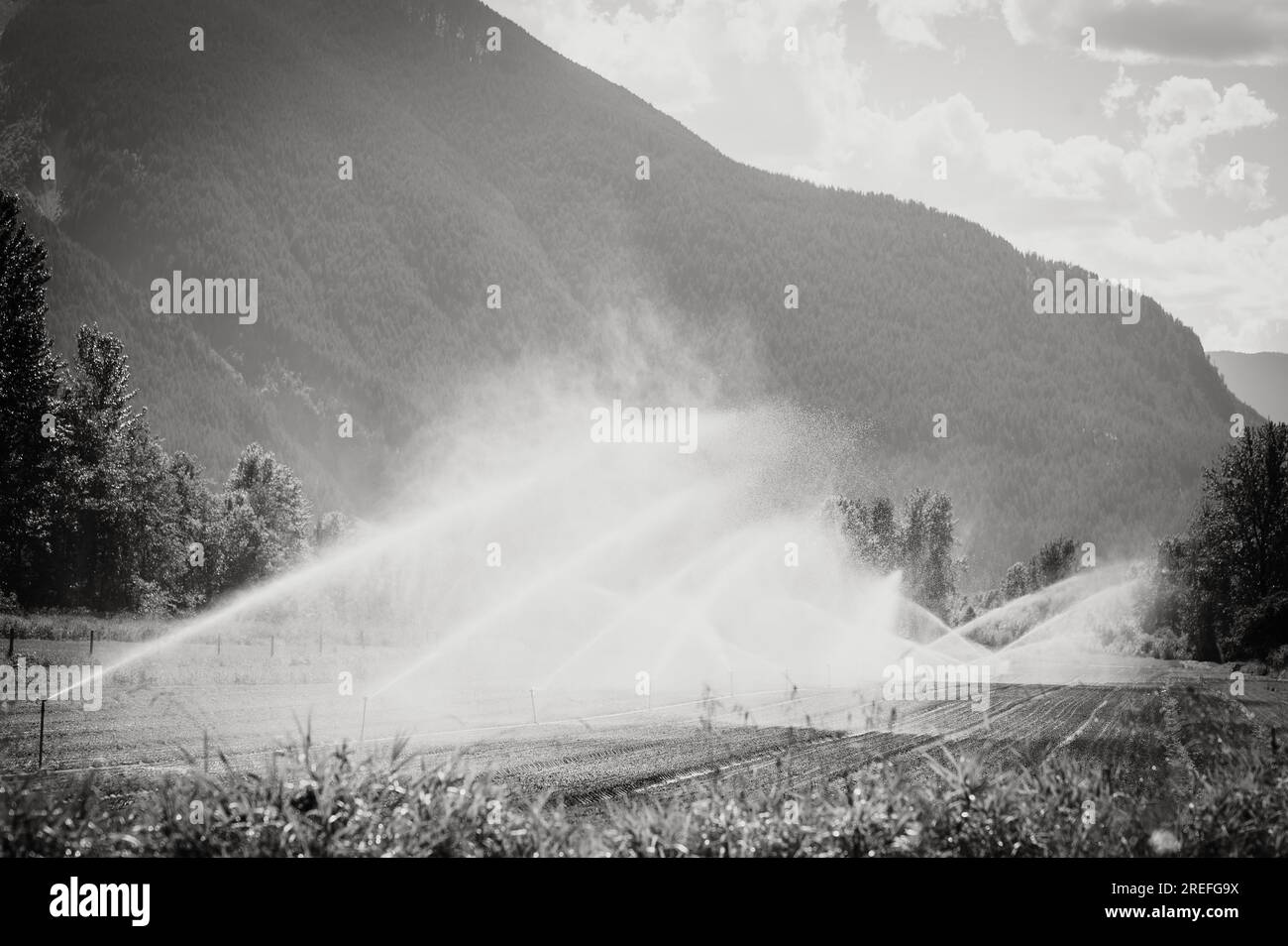 Irrigation sprinklers at the North Arm Organic Farm.   Pemberton BC, Canada.  Black and white image. Stock Photo